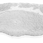 Podnos FOL číra 32 x 22,5 cm